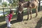 Hotel Vilar Rural de Arnes. Irconniños.com