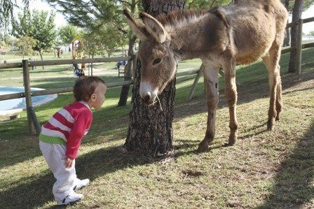 Hotel Vilar Rural de Arnes. Irconniños.com