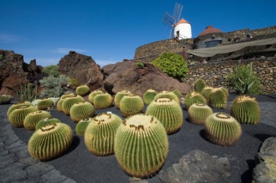 Hoteles en Lanzarote