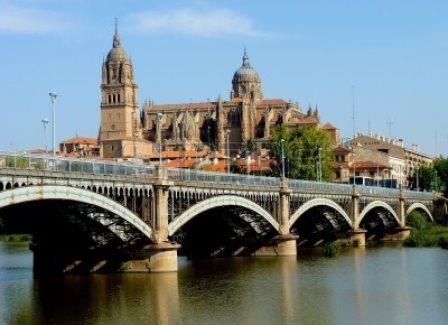 7968384-catedral-de-salamanca-en-espana