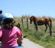 Actividades Irconniños.com