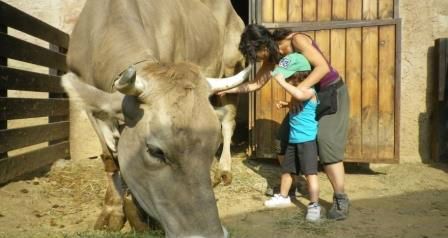 Actividades Irconniños.com