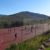 Monte Holiday Ecoturismo. Irconniños.com