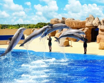 Marineland Cataluña. Irconniños.com