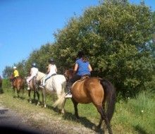 Actividades Irconniños.com