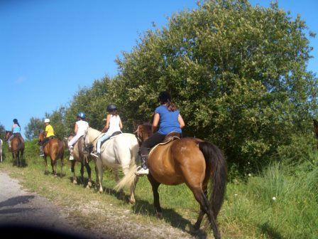 Actividades Irconniños.com