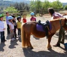 Actividades Irconniños.com