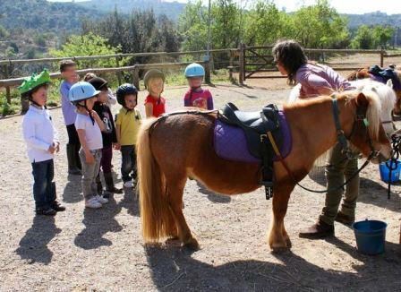 Actividades Irconniños.com