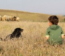 Actividades Irconniños.com