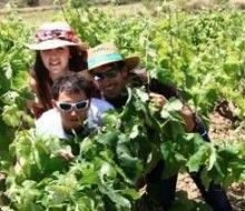 Visita bodega padres y niños. Irconniños.com