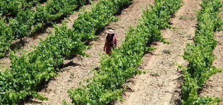 Visita bodega padres y niños. Irconniños.com