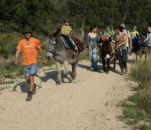 Actividades Irconniños.com