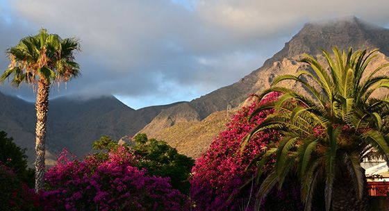 Hoteles en Santa Cruz de Tenerife