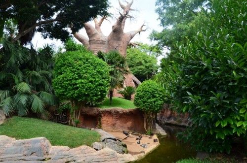 bioparc fuengirola con niños