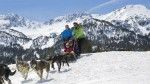 Paseo en Mushing. Irconniños.com