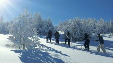 Excursión con raquetas de nieve. Irconniños.com