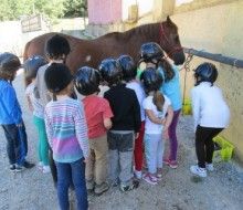 Senderismo y actividades por la naturaleza de León. Irconniños.com