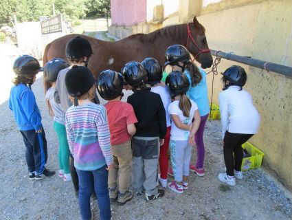 Senderismo y actividades por la naturaleza de León. Irconniños.com