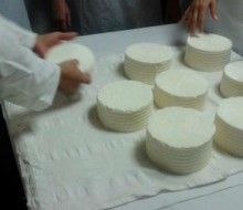 Taller de elaboración de quesos. Irconniños.com