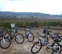 Paseo en bicicleta entre viñedos. Irconniños.com