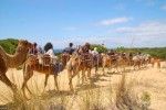 Aventura en Doñana en familia. Irconniños.com