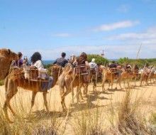 Aventura en Doñana en familia. Irconniños.com