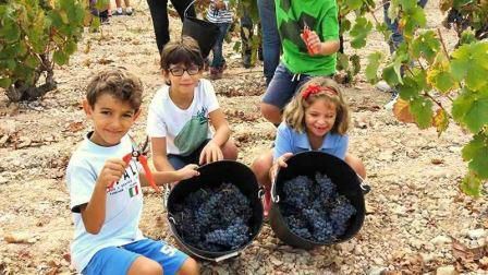 Vendimia en familia. Irconniños.com