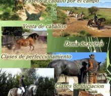 Paseos a caballo. Irconniños.com