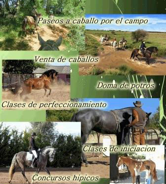 Paseos a caballo. Irconniños.com