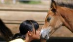 Excursión a caballo & Campus Hípicos. Irconniños.com