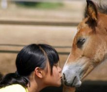 Excursión a caballo & Campus Hípicos. Irconniños.com