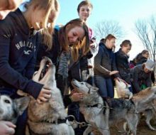 Taller de Mushing para escuelas y grupos infantiles. Irconniños.com