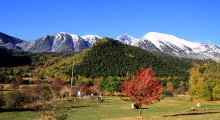 MónNatura Pirineus. Irconniños.com