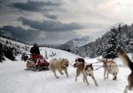 Mushing con niños en Andorra. Irconniños.com