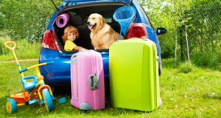 Viajar con Mascotas