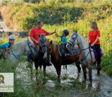 Paseos a caballo. Irconniños.com