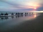 Paseos a caballo por Doñana. Irconniños.com