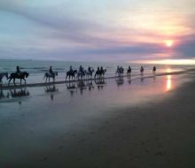 Paseos a caballo por Doñana. Irconniños.com