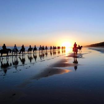 Paseos a caballo por Doñana. Irconniños.com