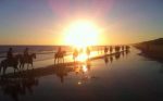 Paseos a caballo por Doñana. Irconniños.com