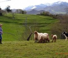 La Asturias más rural. Irconniños.com