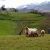 La Asturias más rural. Irconniños.com