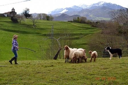 La Asturias más rural. Irconniños.com