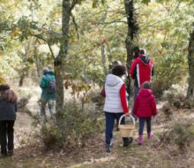 Excursiones y naturaleza en familia. Irconniños.com