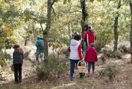 Excursiones y naturaleza en familia. Irconniños.com