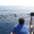 Excursiones y Rutas para ver delfines en Mazarrón. Irconniños.com