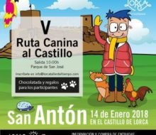 ltt-san anton-whatsapp-ok-03-min