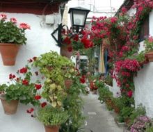 Paseos por Córdoba. Irconniños.com