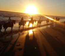 Ruta completa por Doñana: Playas, Dunas y Coto. Irconniños.com