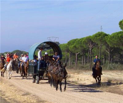 Camino Rociero por Corazón de Doñana. Irconniños.com